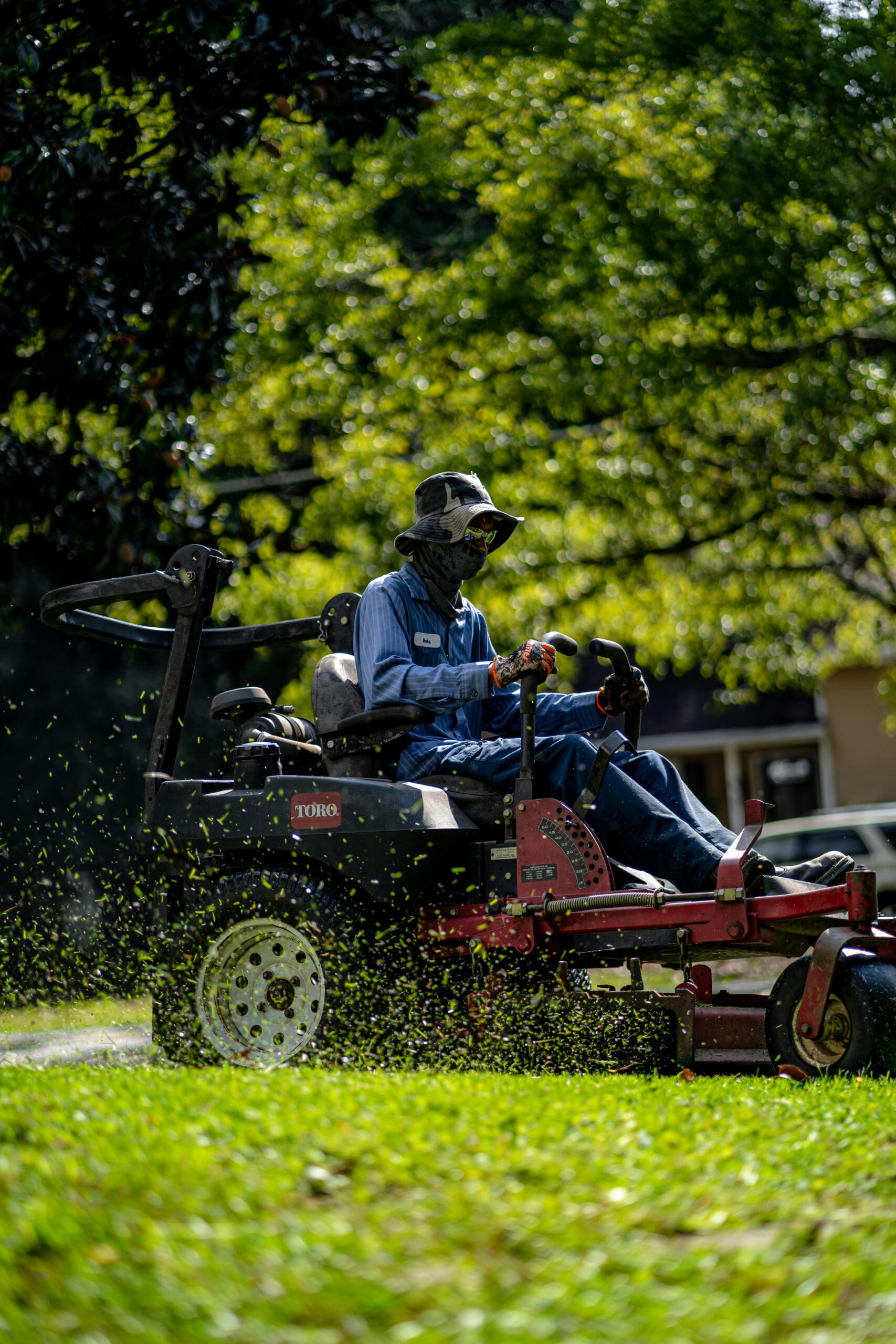 Premium lawn and garden care Toronto GTA