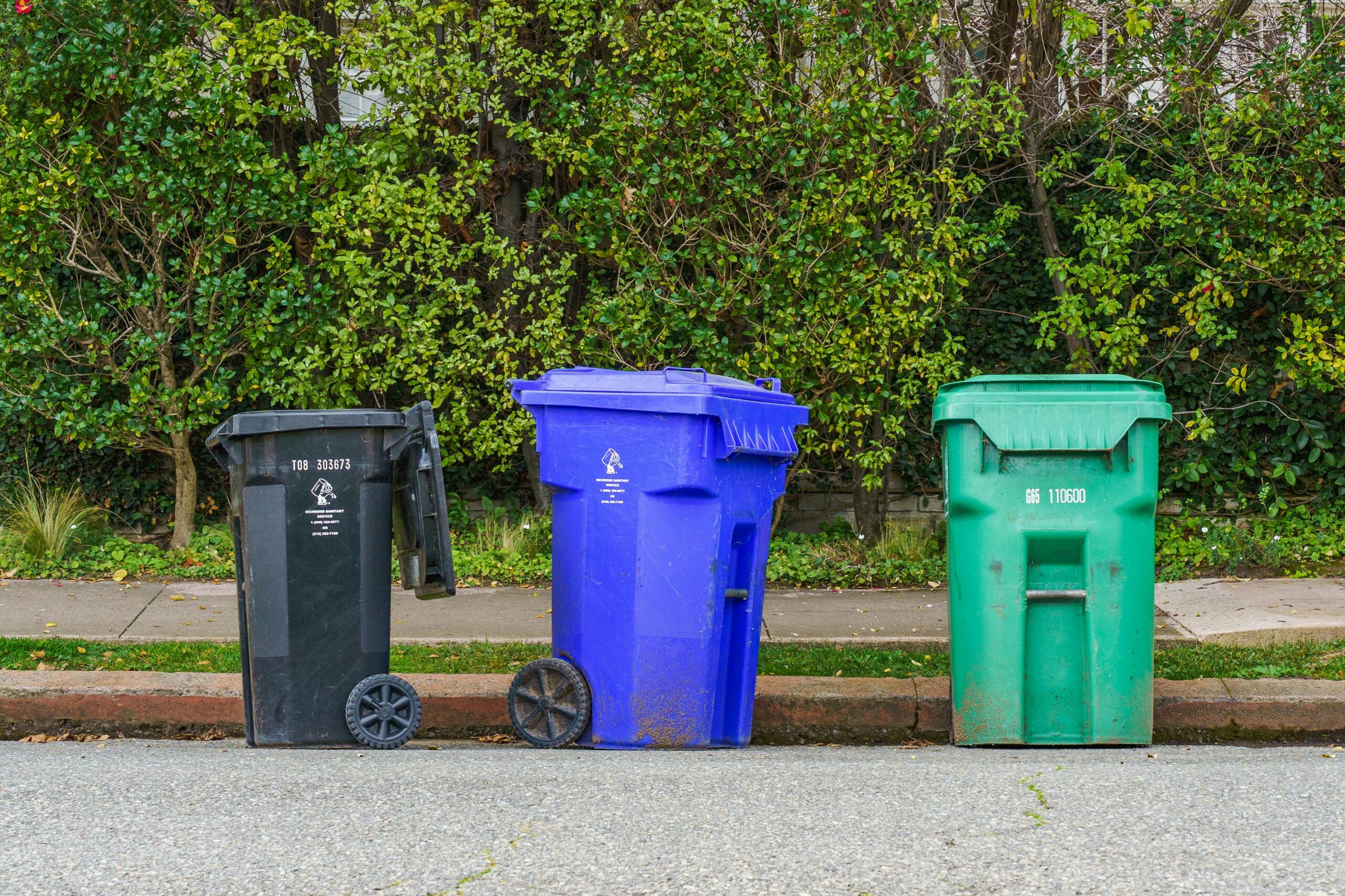 Professional bin sanitization and cleaning
